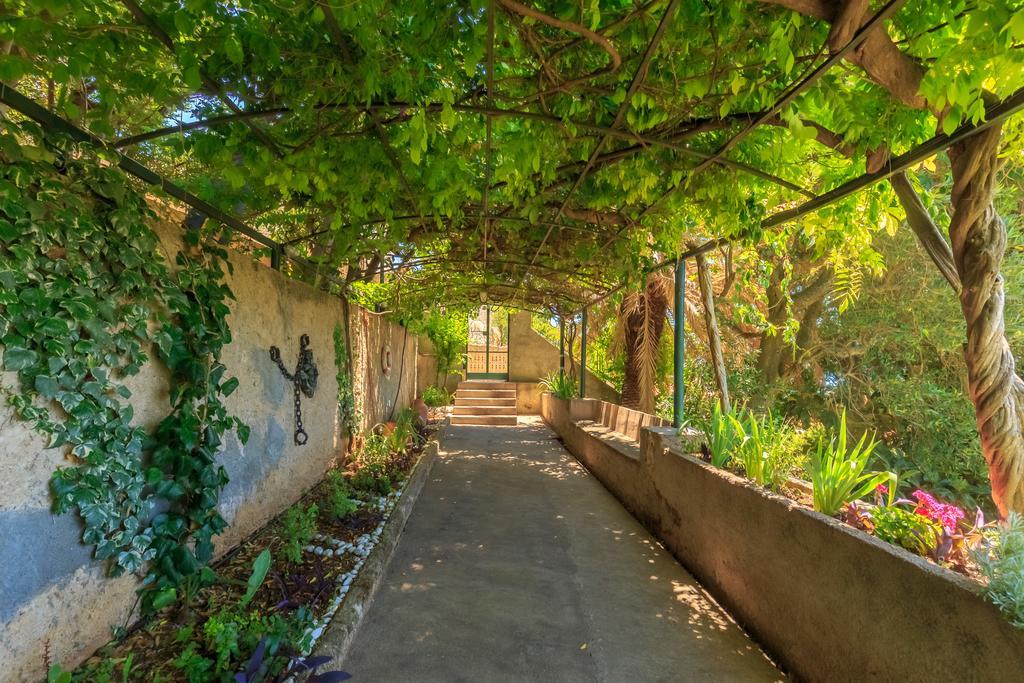 Villa Isanda Ντουμπρόβνικ Εξωτερικό φωτογραφία